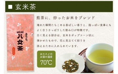 八女茶100％ お茶の世界を楽しむ！５種の茶葉飲み比べセット 100g×５袋＜岩崎園製茶＞　075-014