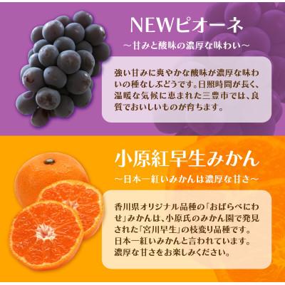 ふるさと納税 三豊市 【発送月固定定期便】造田商店のセレクト定期便全4回 |  | 02