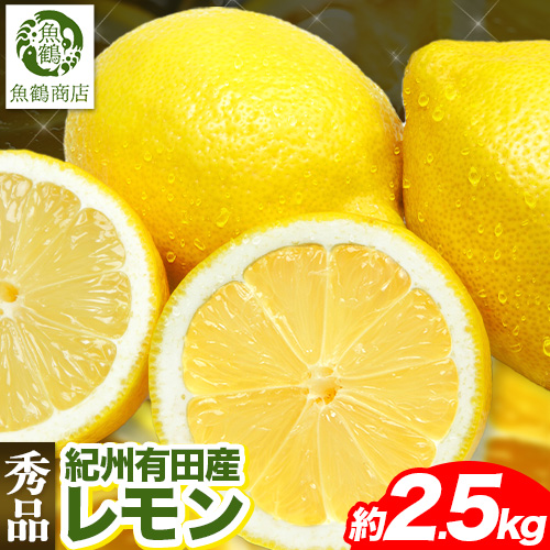 【先行予約】【秀品】紀州 有田産 レモン 約2.5kg 魚鶴商店《2026年3月上旬-3月中旬頃出荷》和歌山県 日高町 柑橘 れもん 檸檬 果物