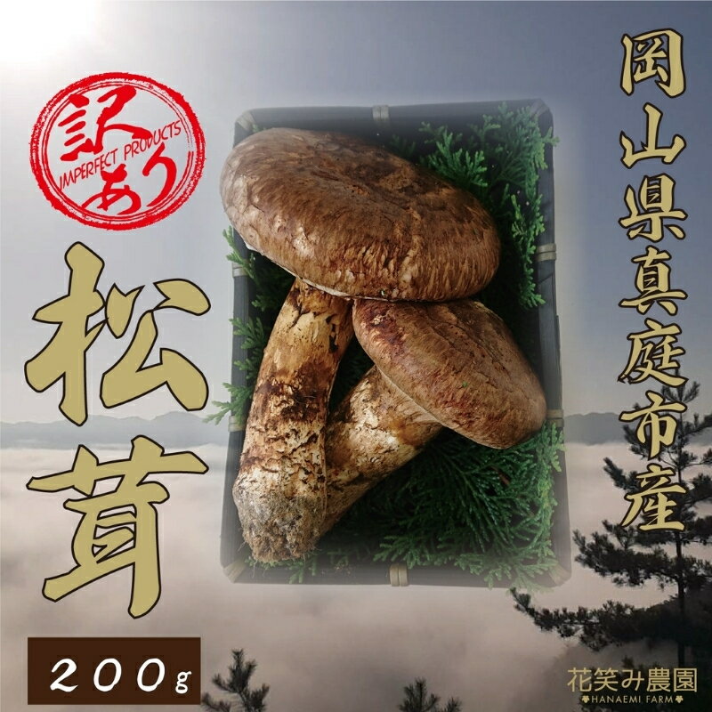 【ふるさと納税】花笑み農園 岡山県産 訳あり『松茸』200g（2〜6本）【9月下旬～順次発送】 hana23-1 国産 岡山県 真庭市 希少 産地直送 松茸 天然物 訳あり きのこ 訳あり松茸【1438644】