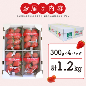 【先行予約】 やよい姫 約1.2kg 300g×4パック いちご 完熟 苺 産地 直送 フレッシュ イチゴ 贈答 フルーツ 果物 国産 静岡 発送期間: 2025年1月～2025年3月 （おすすめいち