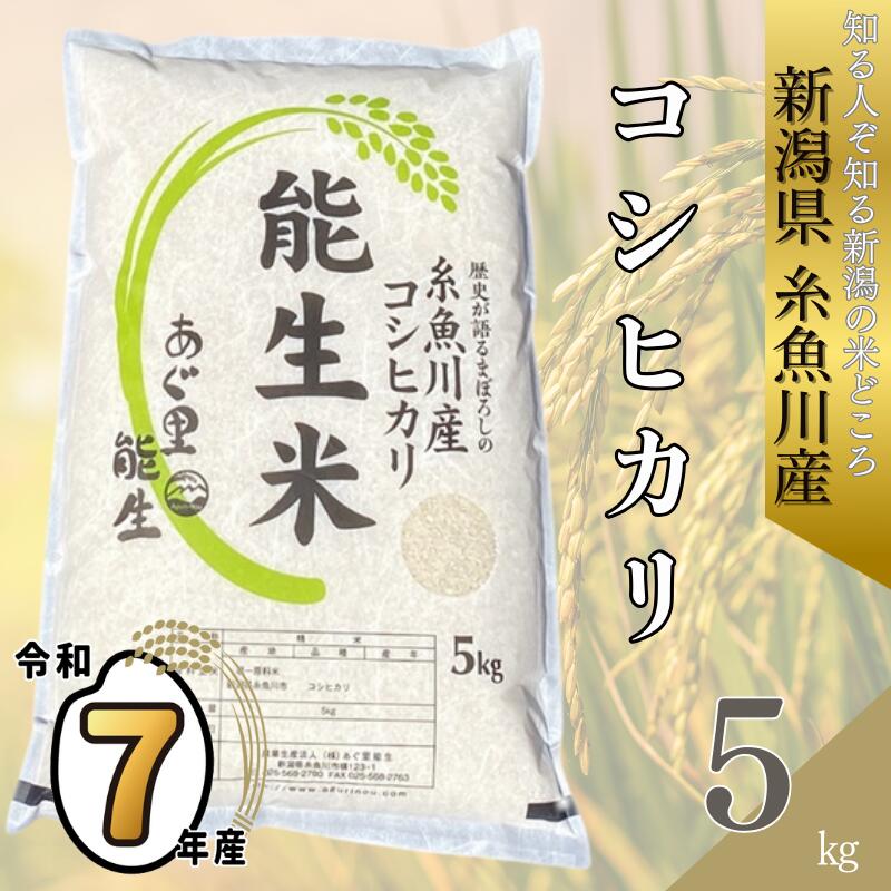 【ふるさと納税】 令和7年産 新米予約 『新潟県産コシヒカリ』 5kg『能生米』 新潟米 農家自慢 糸魚川 プロが認めたうまい米 あぐ里能生 ふっくらもちもち 農家直送 白米 米5kg 精米 おにぎり お弁当 こしひかり 5kg 米どころ新潟 美味しい米 2025年 米 コメ