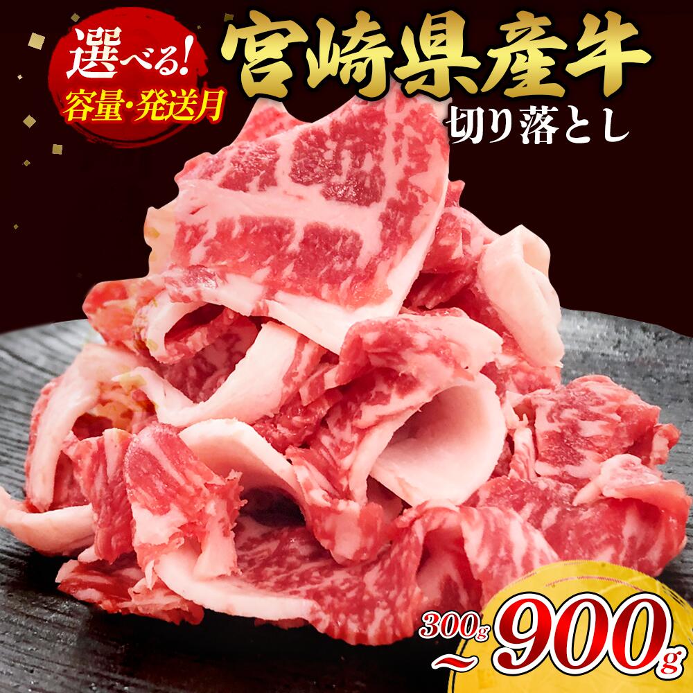 【ふるさと納税】【容量 選べる】宮崎県産 黒牛 切り落とし 300g 600g 900g 赤身 牛肉 切り落とし 肉 お肉 牛 国産牛 小分け 真空パック 冷凍 贈答 ギフト 人気 国産 えびの市 送料無料