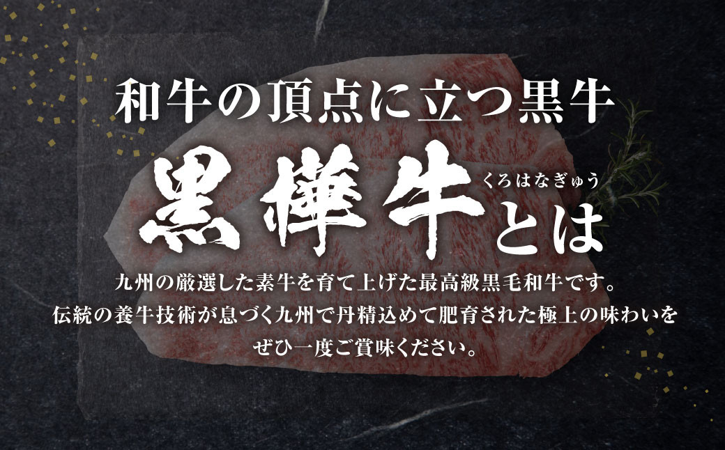 黒樺牛 肉厚サーロインステーキ 約600g （約300g×2パック）