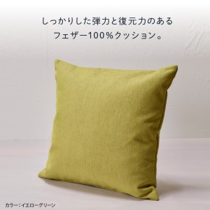 blocco フェザー100％ クッション（65cm×65cm） 460117 イエローグリーン