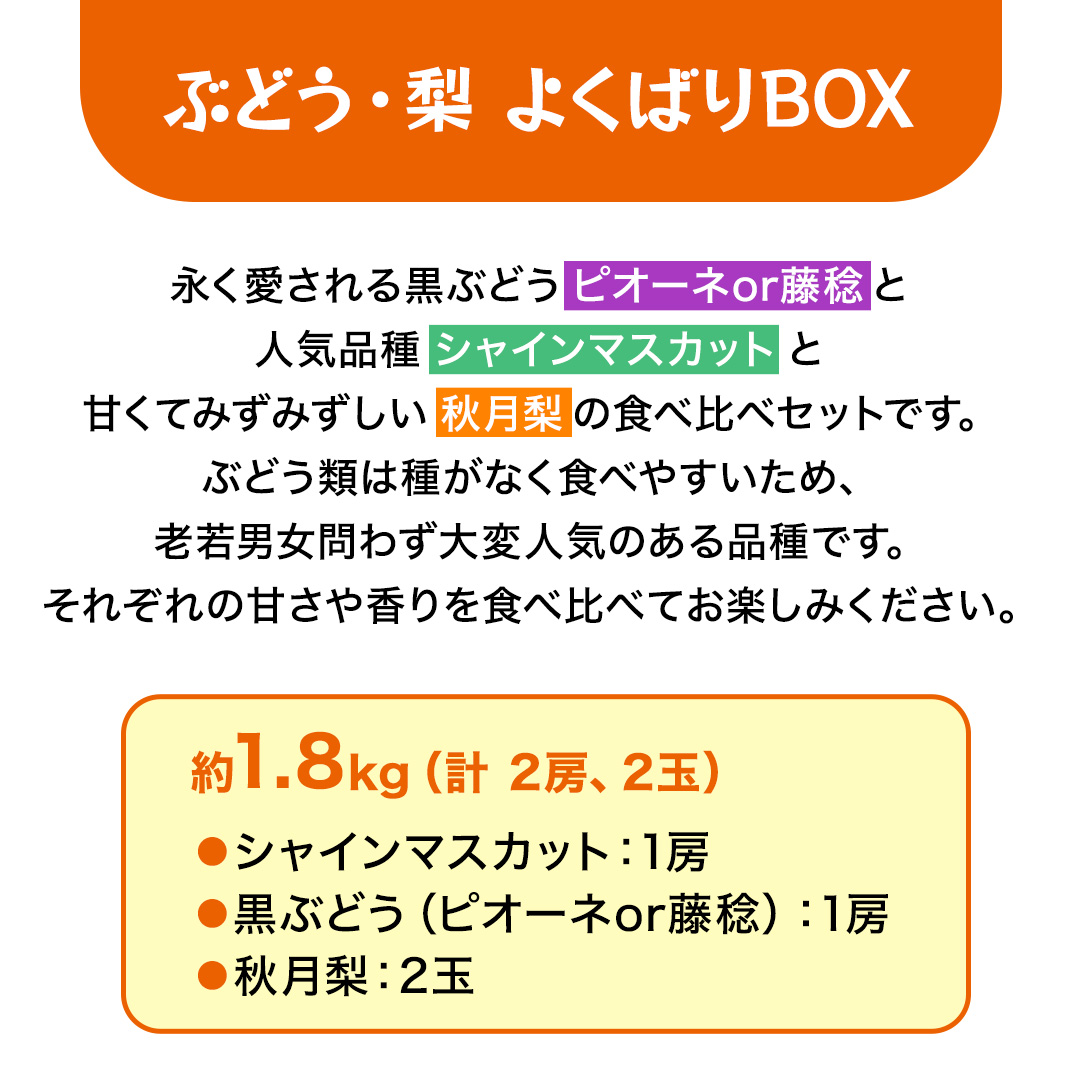 ≪ 種なし ≫ シャインマスカット ・ おまかせ黒ぶどう ・ 秋月 約 1.8kg [よくばりBOX] (茨城県共通返礼品:かすみがうら市) 2026年 マスカット ぶどう 葡萄 ブドウ フルーツ 果