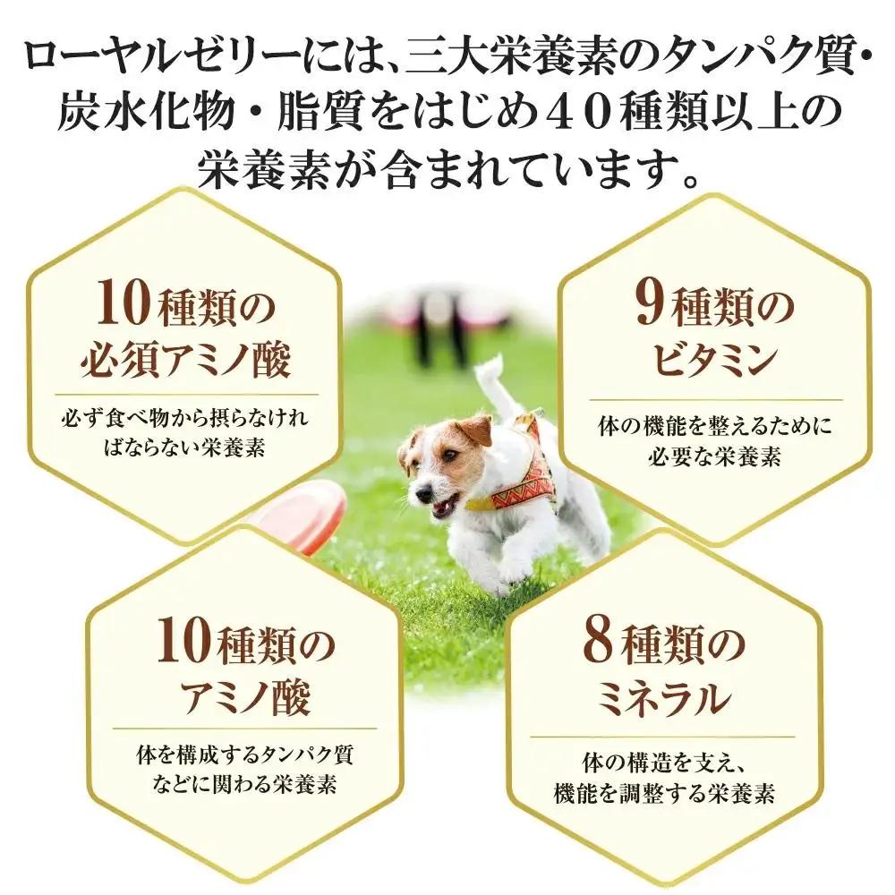 ワンちゃん用ローヤルゼリー〈袋入(60粒)〉（02800）【006-a150】
