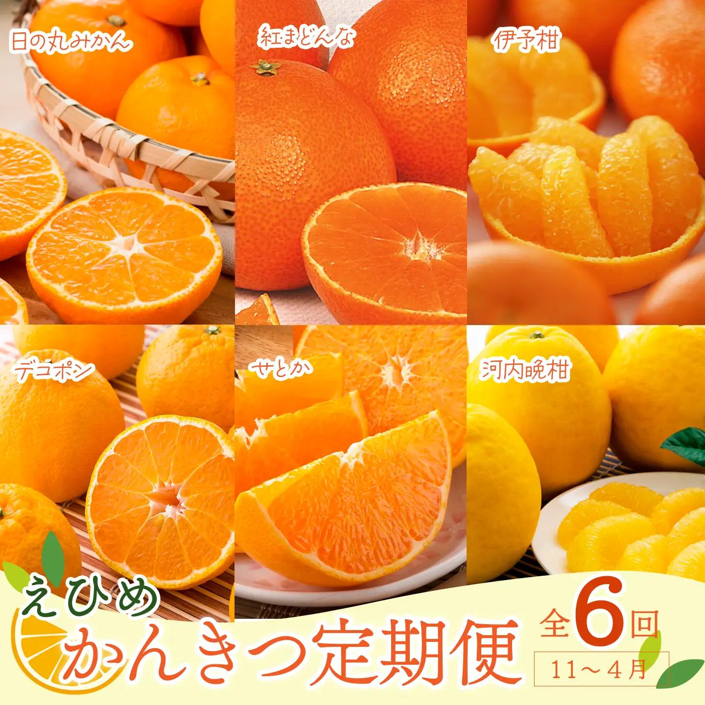 【先行予約】えひめ かんきつ定期便（全6回・11月～発送）【紅まどんな せとかなど】 