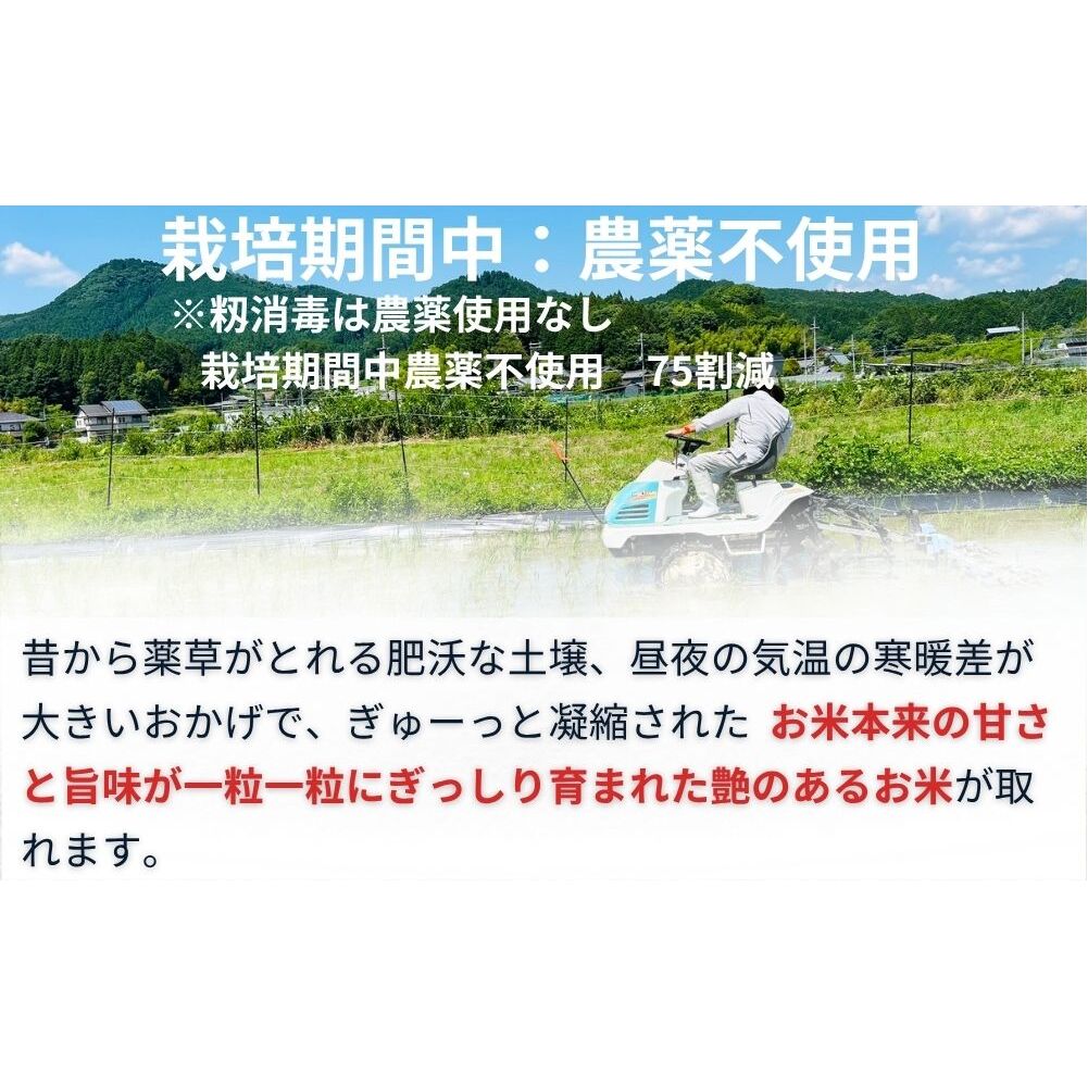 【定期便6回】ひとめぼれ 低農薬栽培＜令和7年産 白米 8.5kg ＞ / ふるさと納税 低農薬 米 お米 こめ コメ 国産 新米 玄米 一等米 農家やまおか 奈良県 宇陀市_イメージ3