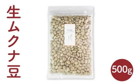 
            熊本産 生ムクナ豆 500g むくな豆 生 食生活 熊本県 宇城市
          