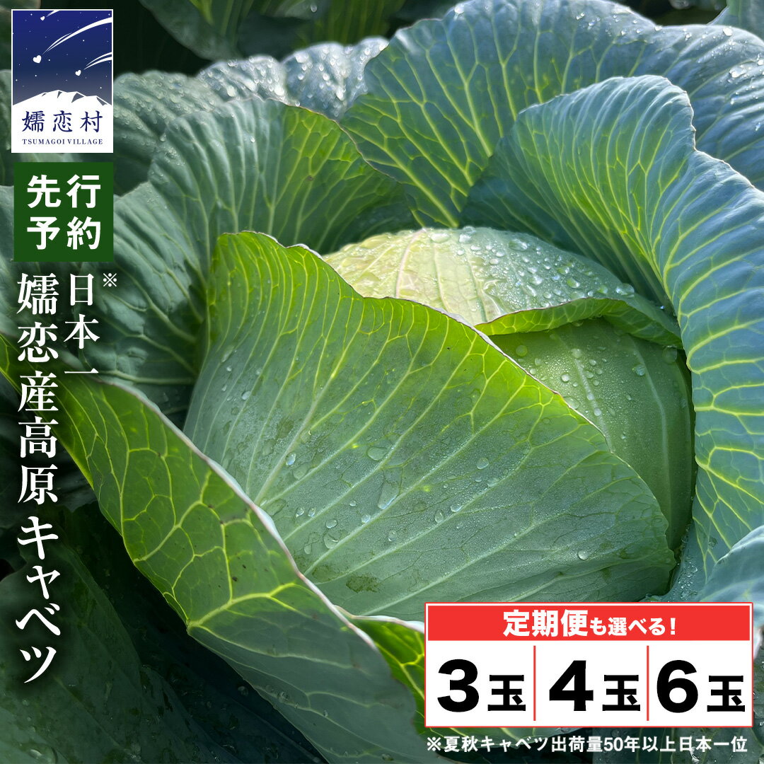 【ふるさと納税】 嬬恋キャベツ 【7月上旬以降発送開始】 ＜選べる数量&お届け回数＞ 定期便 きゃべつ 嬬恋キャベツ 産地直送 群馬 お取り寄せ 野菜 セット Lサイズ ZIP!