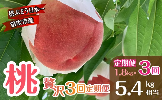 【2026年度先行予約】笛吹市産 桃好きのための贅沢3回定期便　1.8kg × 3回 （5.4kg相当）〈令和8年発送　厳選　桃　もも　果物　くだもの　フルーツ　新鮮　産地直送　農家直送　贈答　ギフト　山梨　笛吹市〉157-060-26y