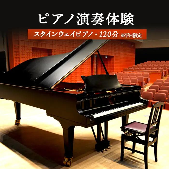 スタインウェイピアノ試弾券（120分）　※平日限定（午前９時～午後９時）【2100101】