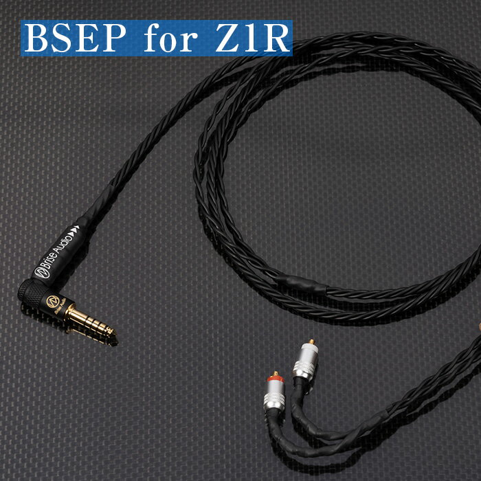 【ふるさと納税】Brise Audio ブリスオーディオ 高級 高額 音響 BSEP for Z1R