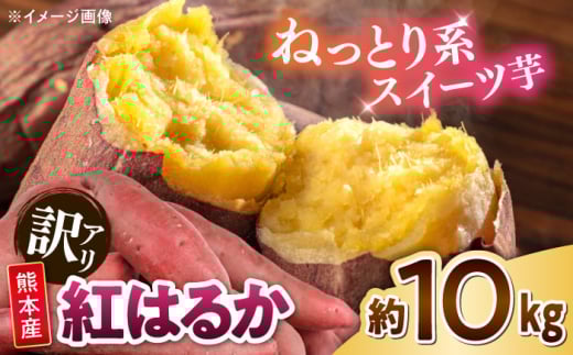 【訳あり】 紅はるか 約10kg 2S〜3Lサイズ混合 【株式会社 Foody’s】さつまいも 芋 べにはるか 規格外 家庭用 さつま芋 傷あり 訳あり品 自宅用 熊本 いも 国産 九州産 熊本産 熊本県 合志市 [AYAT003]