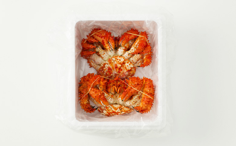 【北海道根室産】花咲かに500g前後×2尾 A-19010