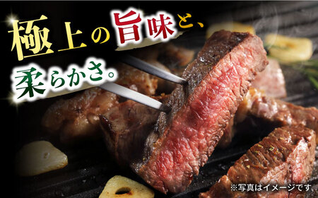 【9回定期便】長崎和牛 サーロインステーキ 約320g×4枚 / 牛肉 サーロイン ステーキ さーろいん 焼肉 / 大村市 / おおむら夢ファームシュシュ[ACAA260]