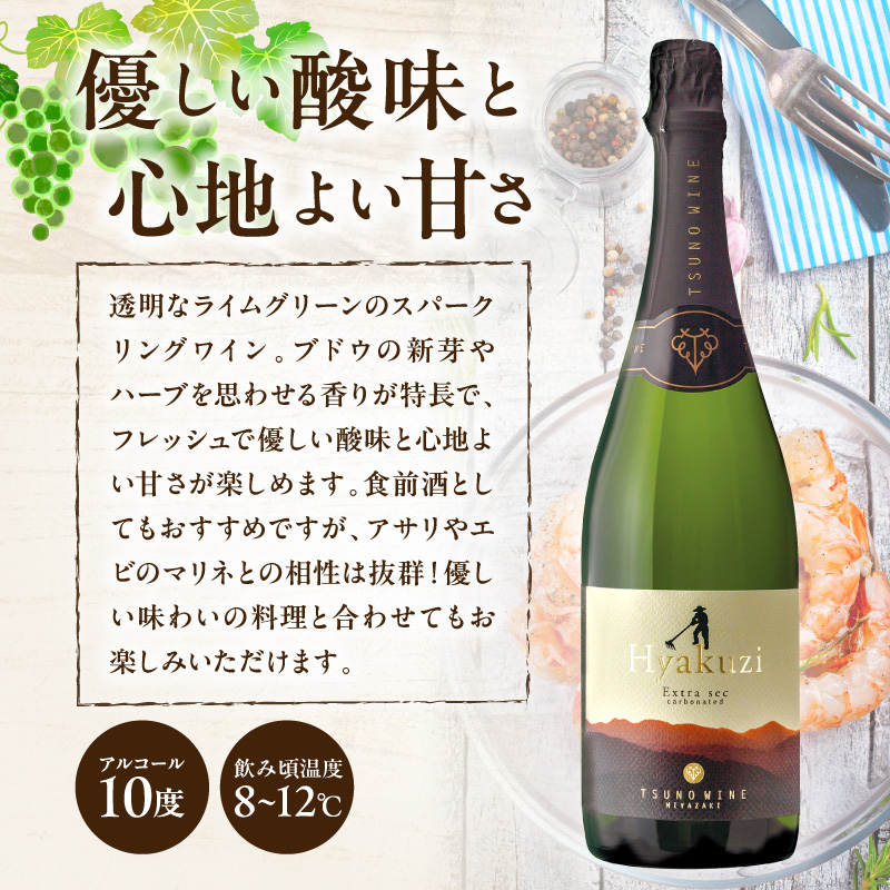 【数量限定】Hyakuzi エクストラセック カーボネイティッド(計1本)_T014-007【酒 飲料 アルコール 国産 人気 ギフト 食品 お酒 BBQ お土産 限定品 贈り物 送料無料 プレゼント