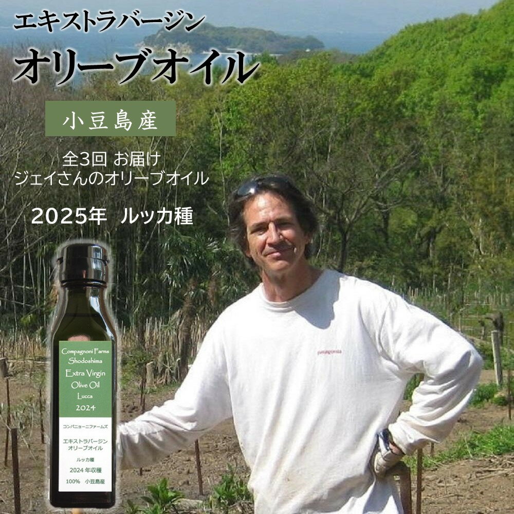 【ふるさと納税】【定期便 全3回】ジェイさんのオリーブオイル《ルッカ種》毎月お届け コンパニョーニファームズ エキストラバージンオイル 2025年収穫 100％小豆島産 手摘み | 油 あぶら 食品 加工食品 人気 おすすめ 送料無料