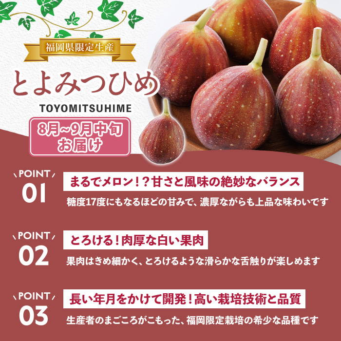 ＜定期便・年4回＞旬の福岡 フルーツ定期便(あまおう1kg/とよみつひめ1.2kg/早味かん3kg/甘うぃ3.6kg) いちご 苺 あまおう いちじく イチジク 無花果 みかん ミカン 蜜柑 キウイ 