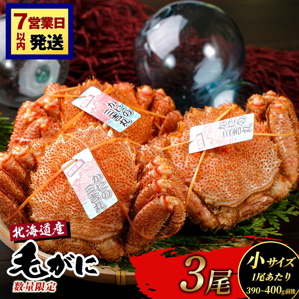 【ふるさと納税】【小サイズ】北海道産 冷凍ボイル毛ガニ (390g-400g前後) 3尾 選べる発送月毛がに 毛ガニ 毛蟹 蟹 カニ 北海道ふるさと納税 白老 ふるさと納税 北海道 おせち