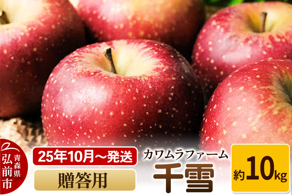 【25年10月～発送】りんご  千雪 約10kg カワムラファーム 贈答用【先行受付】 青森 果物 フルーツ 林檎 リンゴ くだもの 予約