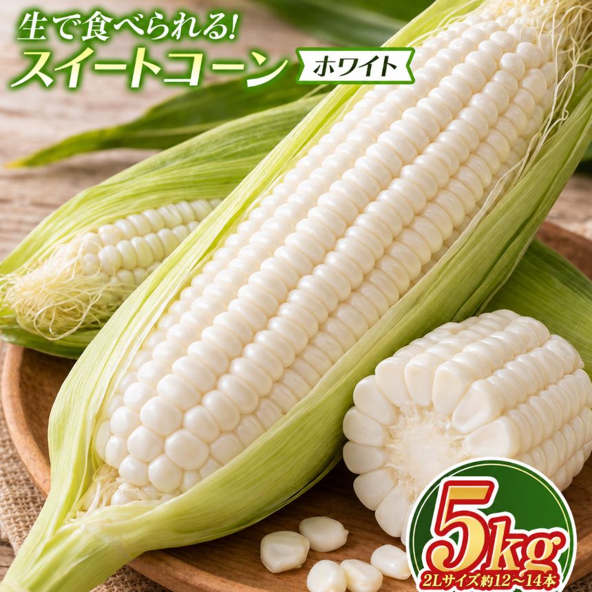 【ふるさと納税】スイートコーン （ホワイト） 5kg 2L サイズ 12〜14本 │ 【令和8年8月1日頃～15日頃発送】ふるさと納税 北海道 新十津川 北海道産 とうもろこし トウモロコシ 野菜 やさい 新鮮 大容量 新十津川町 【先行受付】