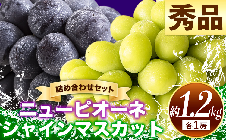 岡山県産 ニューピオーネ シャインマスカット ぶどう詰め合わせ 約1.2kg 2房 葡萄 果物 訳あり 優品 厳選出荷 スイーツ フルーツ デザート 岡山県 笠岡市《9月上旬～10月下旬頃に出荷予定(土日祝除く)》数量限定 種なしぶどう