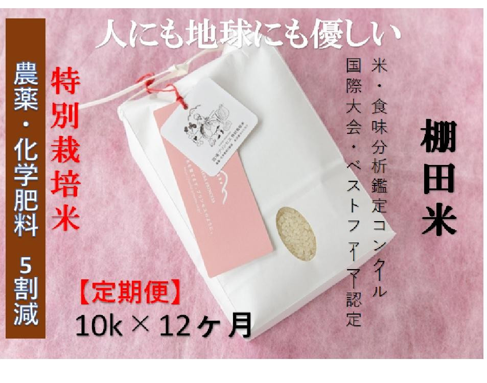 
            【2025年産新米】【12ヶ月定期便】【農薬化学肥料5割減】魚沼コシヒカリ 苗場プリンセス 特別栽培米 精米 10kg（5kg×2袋）計120kg
          