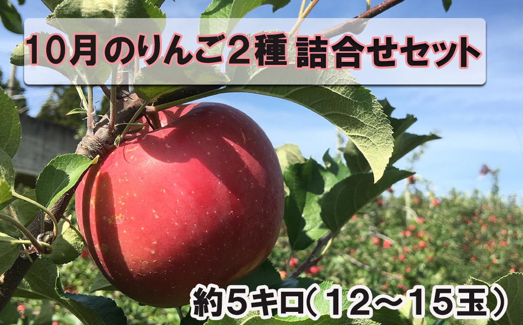 
                  10月りんご２種詰め合わせセット 約5kg （12～15玉） 【1705】
                