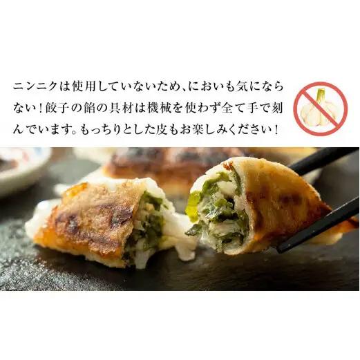 わかめ餃子　48個セット 冷凍 石巻市 十三浜産わかめ使用