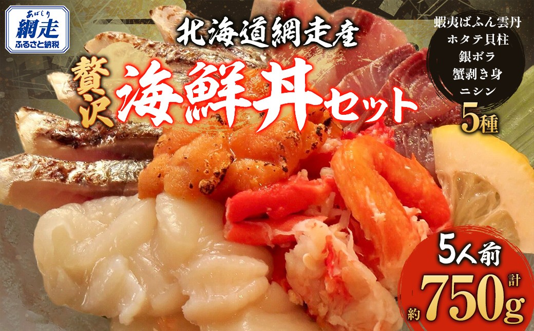 
                  贅沢 網走海鮮丼セット「2人前」 【 ふるさと納税 人気 おすすめ ランキング 海鮮丼 蝦夷ばふん雲丹 ホタテ貝柱 銀ボラ 蟹むき身 ニシン ウニ うに ほたて 貝柱 蟹 かに カニ むき身 鰊 海鮮 新鮮 オホーツク 北海道 網走市 送料無料 】 ABJ023
                