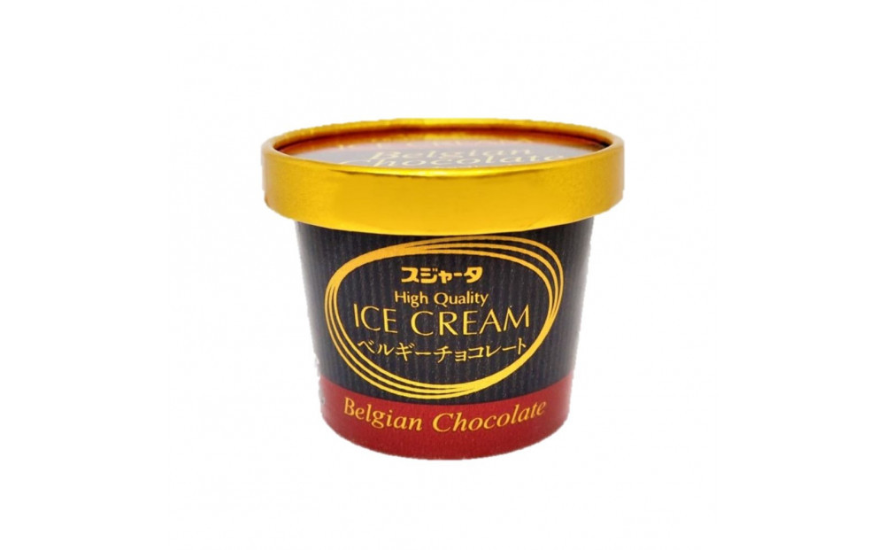 アイス 11個 詰め合わせ【チョコ入り】 シンカンセンスゴイカタイアイス 詰合せ