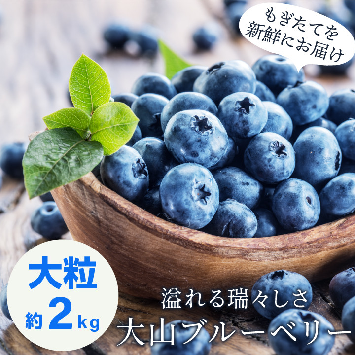 
                  MS-125  新鮮生ブルーベリー2kg（8月採れ）
                