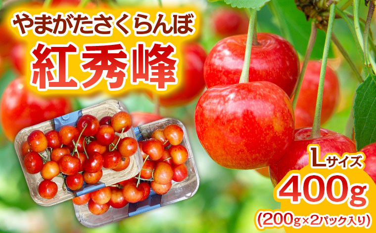 
            やまがた さくらんぼ 紅秀峰 Lサイズ 400g(200g×2パック入り) 1箱【令和7年産先行予約】FS23-888 くだもの 果物 フルーツ 山形 山形県 山形市 2025年産
          