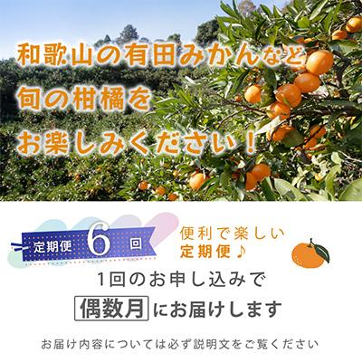 ふるさと納税 和歌山市 【発送月固定定期便】季節の柑橘定期便B【フルーツ定期便】【和歌山県有田】全6回 |  | 01