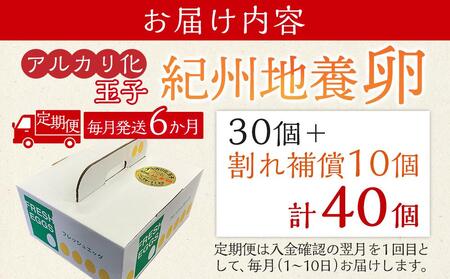 【定期便 毎月発送 全6回】アルカリ化 玉子 紀州地養卵 合計 40個入 (30個＋割れ補償分10個）× 6回　卵 たまご 玉子 タマゴ 鶏卵 まとめ買い オムレツ 卵かけご飯 朝食 業務用