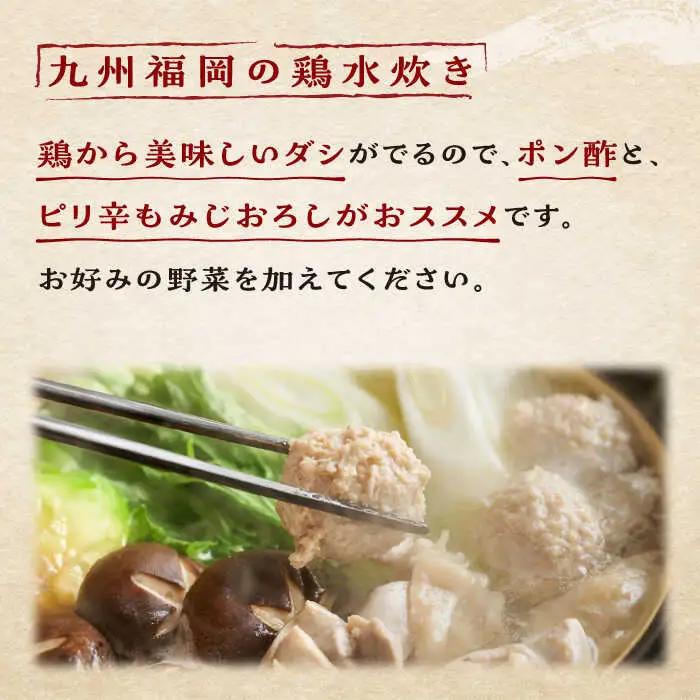 【全3回定期便】九州産ハーブ鶏 水炊き鍋2人前×2セット（計4人前）米粉麺 [ABCJ129]