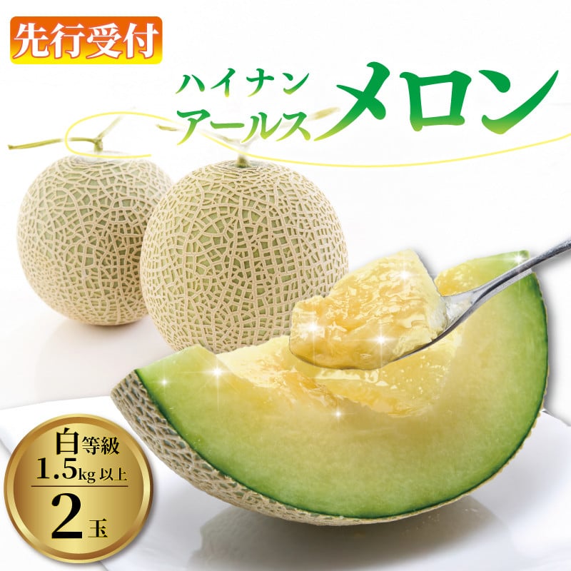 
            アールス メロン 2玉 1.5kg以上×2玉 令和7年度産 メロン 果物 めろん フルーツ 先行予約 数量限定 7月から 順次発送 白等級 父の日 贈答用 お中元 プレゼント ギフト 箱付き JA ハイナン 牧之原市 静岡 県
          