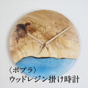 【ふるさと納税】ウッドレジンの掛け時計 ～ポプラ～ resin 30-252