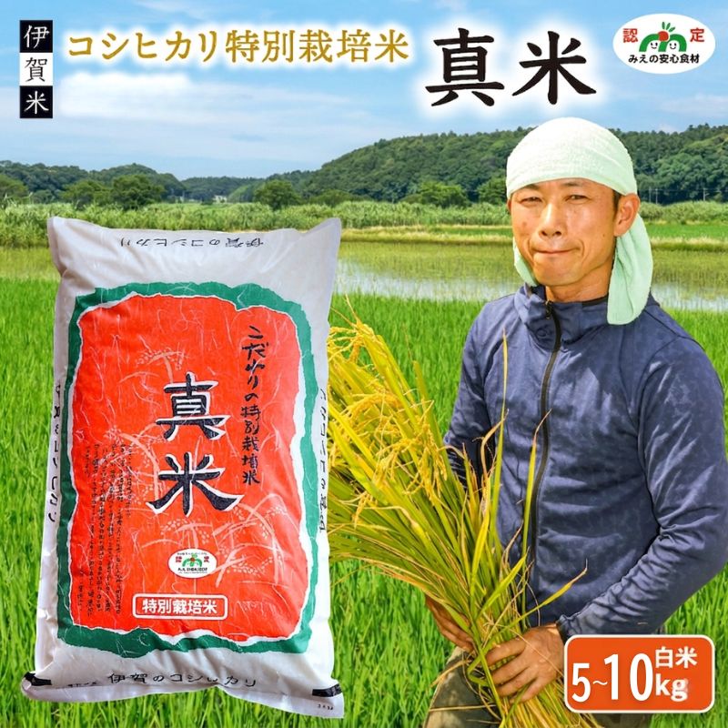 【ふるさと納税】 伊賀米コシヒカリ特別栽培米「真米」白米 ＜5kg〜10kgから選べます＞/みえの安心食材認定米！ 大粒！モチモチ！つやつや！ 令和7年度産コシヒカリ 精米 送料無料 【ymnk0002-0001】