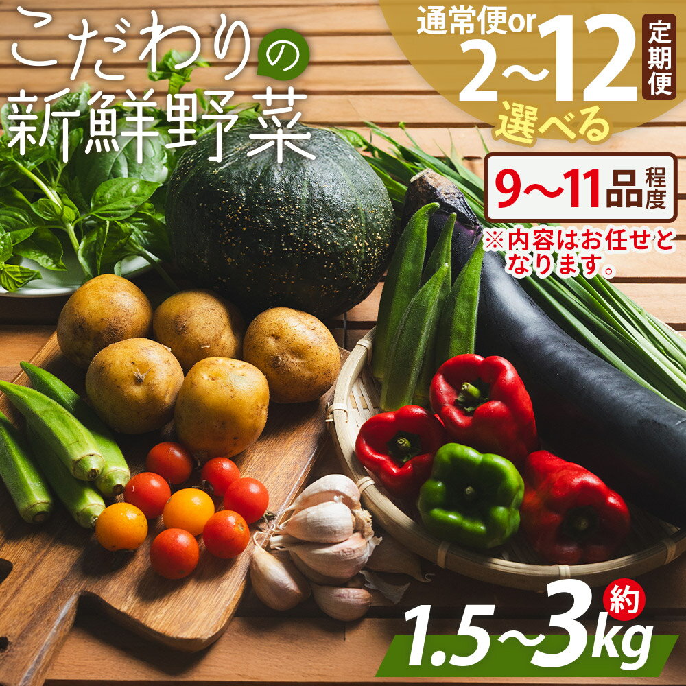 【ふるさと納税】【選べる定期便】こだわりの新鮮野菜（数量：約1.5～3kg 配送回数：通常/2回/3回/4回/6回/12回） - 選べる 定期回数 9～11品程度 お任せ 野菜 やさい 青果 朝採れ 新鮮 旬の野菜 季節の野菜 詰め合わせ セット アルカナファーム 高知県 香南市【冷蔵】