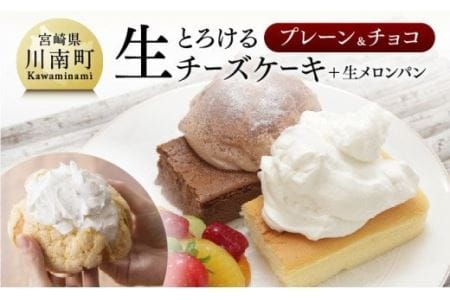 人気チーズケーキ とろける生チーズケーキ（プレーン＆チョコ）