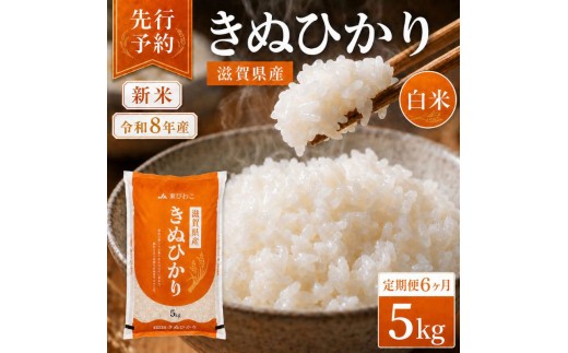 
                  【令和8年産】 米 定期便 キヌヒカリ 白米 5kg 先行予約 新米 きぬひかり 6回定期便 精米 こめ コメ お米 ご飯 米定期便 6か月定期便 6ヶ月定期便 6回 6ヶ月 6か月 滋賀県 豊郷町
                
