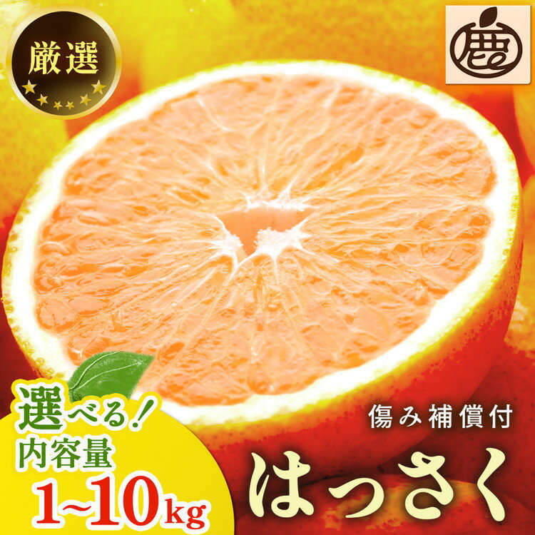 【ふるさと納税】＜1月より発送＞ 選べる内容量 厳選はっさく （傷み補償あり） ｜ 八朔みかん ハッサク◇