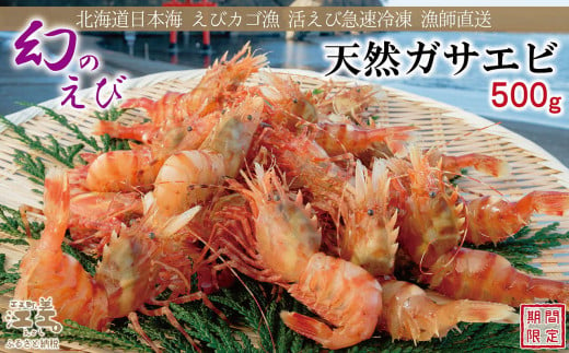 《1月から発送》北海道産 「幻のえび」希少な天然ガサエビ 500g　引き締まった身肉と飽きのこない旨味 濃いエビの味が楽しめます！　国産　江差近海産　天然もの　エビかご漁師直送　最良品厳選　生食可　お刺身　天ぷら　エビフライ　海老 