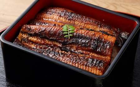 うなぎの蒲焼き（約160g以上）・白焼き（約150g以上）各2尾 計4尾セット 国産 鰻 ウナギ unagi  蒲焼き 白焼き ギフト 人気 おすすめ