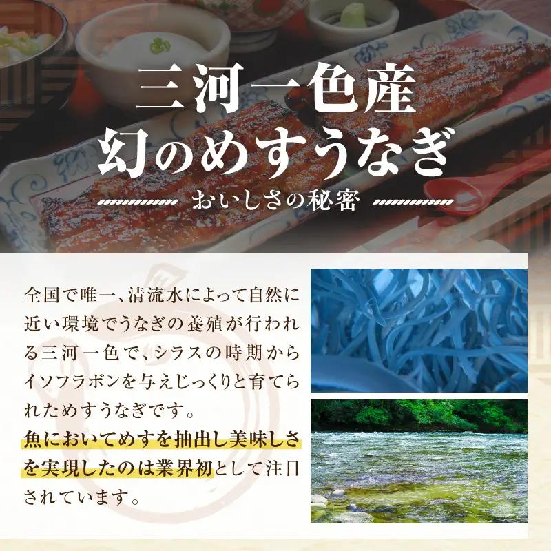 三河一色産　幻のめすうなぎ艶鰻　蒲焼6尾・T118