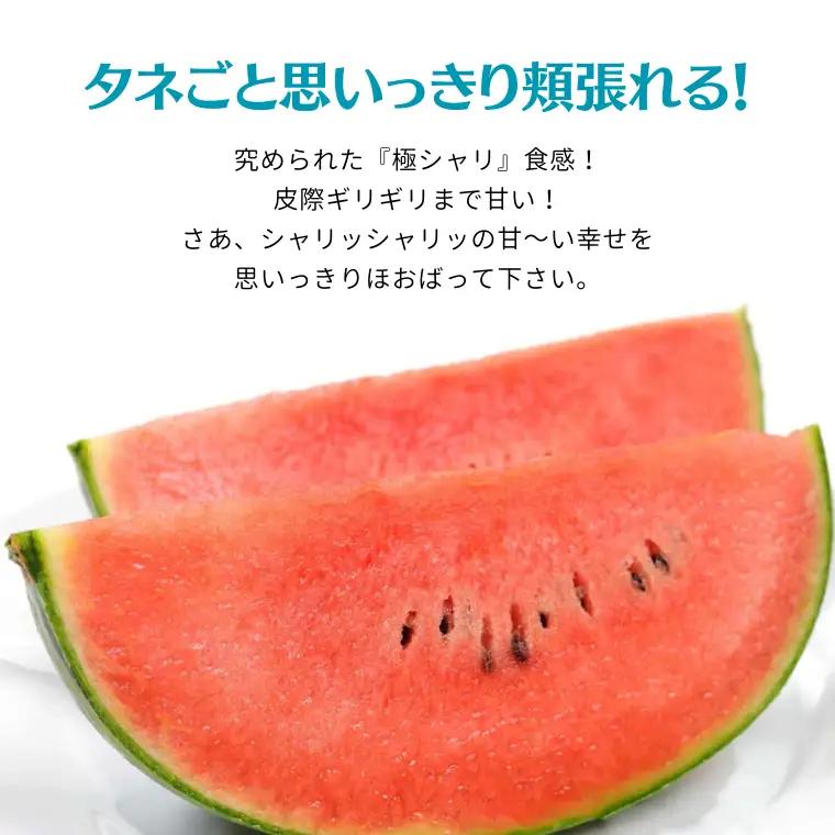 こだますいか ピノガール 2玉 《2026年5月中旬から発送開始》 すいか 小玉すいか 小玉 スイカ 果物 フルーツ[BQ018sa]