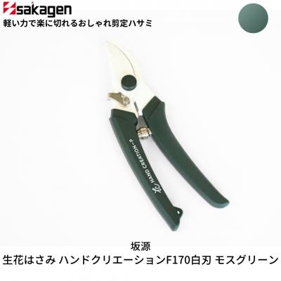 ふるさと納税 三条市 剪定はさみ ハンドクリエーションP180 モスグリーン 花ハサミ [坂源] 【010S387】